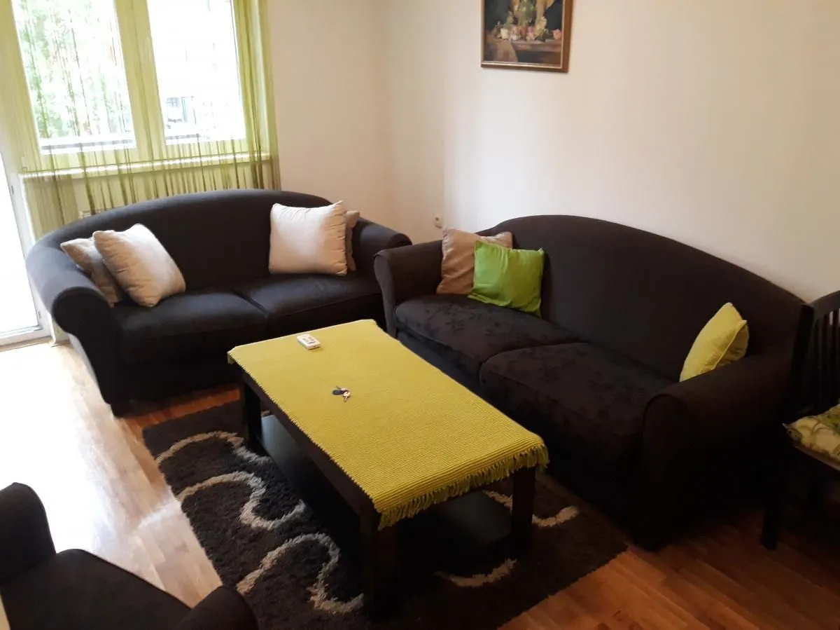 Rent, one bedroom apartment, 42m², Bulevar Oslobodjenja, Novi Sad Sve Podlokacije