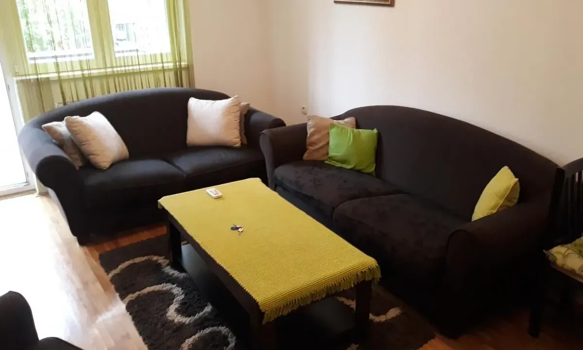 Rent, one bedroom apartment, 42m², Bulevar Oslobodjenja, Novi Sad Sve Podlokacije
