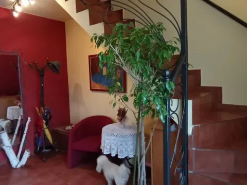 Rent, house, 95m², Sajmište, Novi Sad - image 14