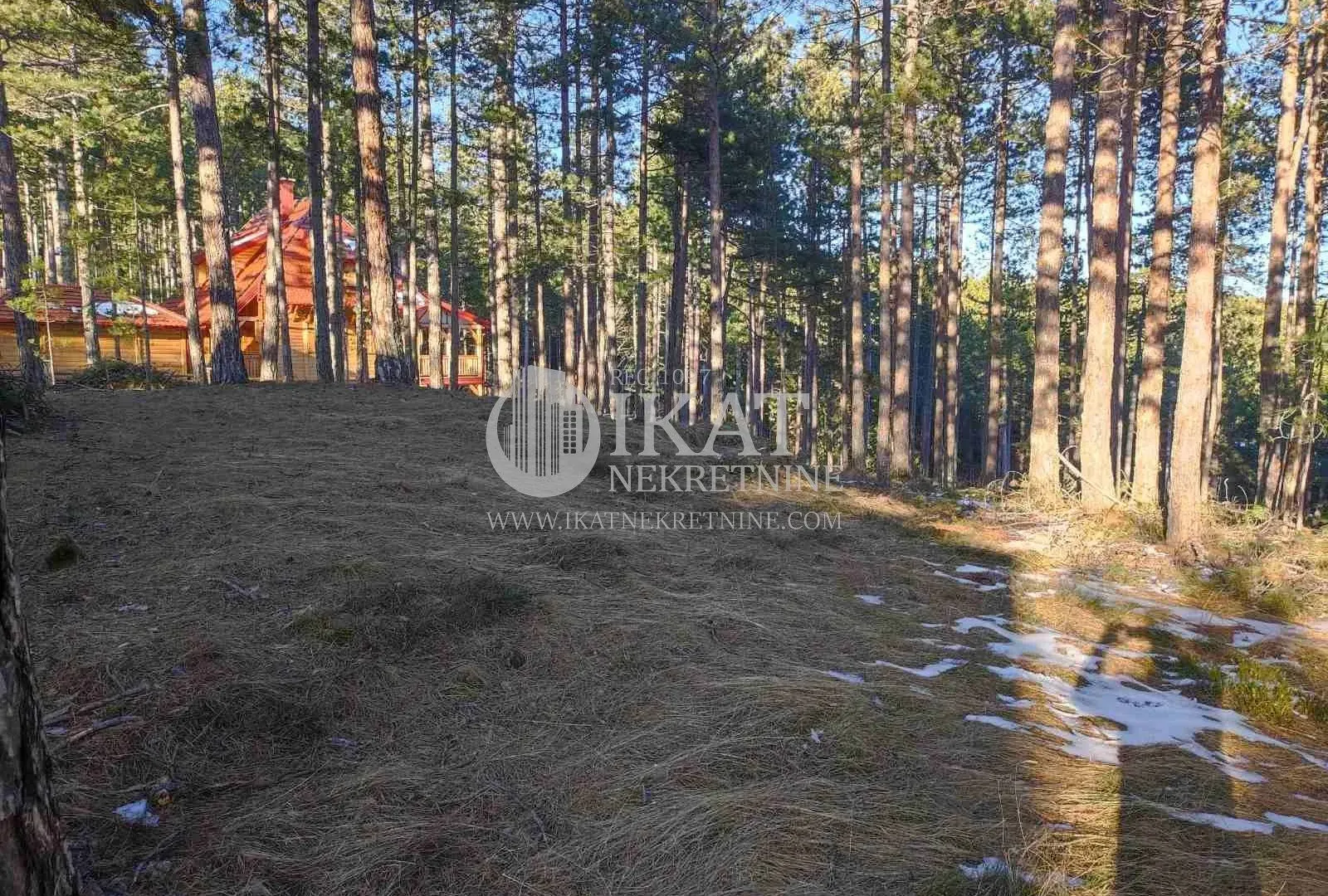 Sale, land lot, 1272m², Tara, Srbija