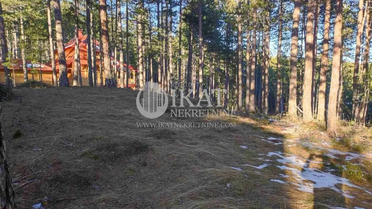 Prodaja, plac, Tara, Srbija