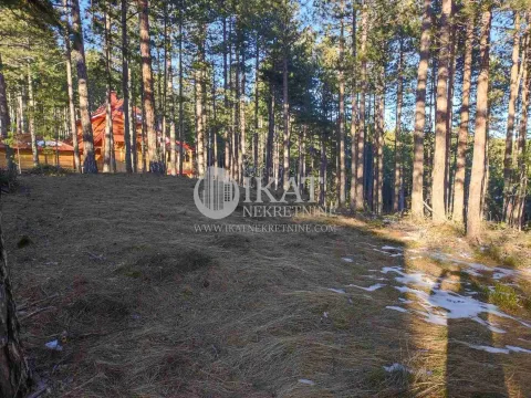 Sale, land lot, Tara, Srbija