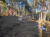 Prodaja, plac, Tara, Srbija - image 1