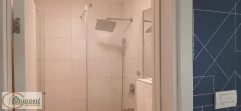 Pogled na moderno opremljeno kupatilo sa tuš kabinom. - image 10