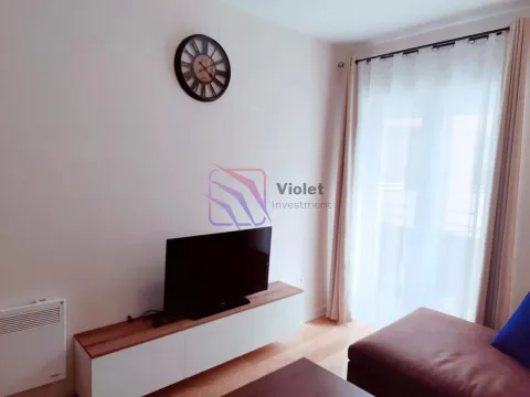 Izdavanje, jednosoban stan, 40m², Central Point, Podgorica - image 9