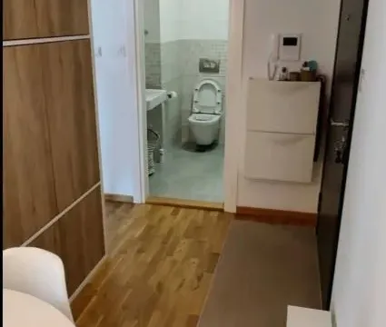 Rent, one bedroom apartment, 38m², Adamovićevo Naselje, Novi Sad Sve Podlokacije - image 11