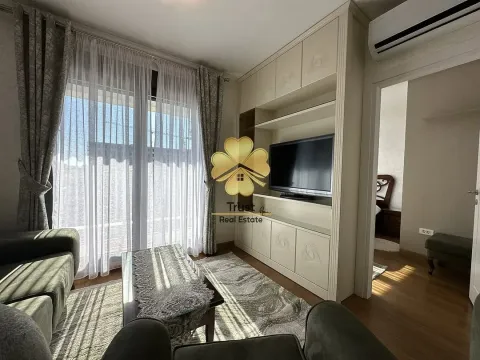 Izdavanje, jednosoban stan, 50m², Podgorica, Crna Gora - image 3