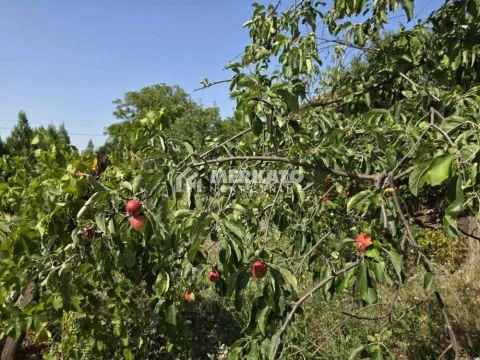 Sale, land lot, 3100m², Bagljaš, Zrenjanin - image 13