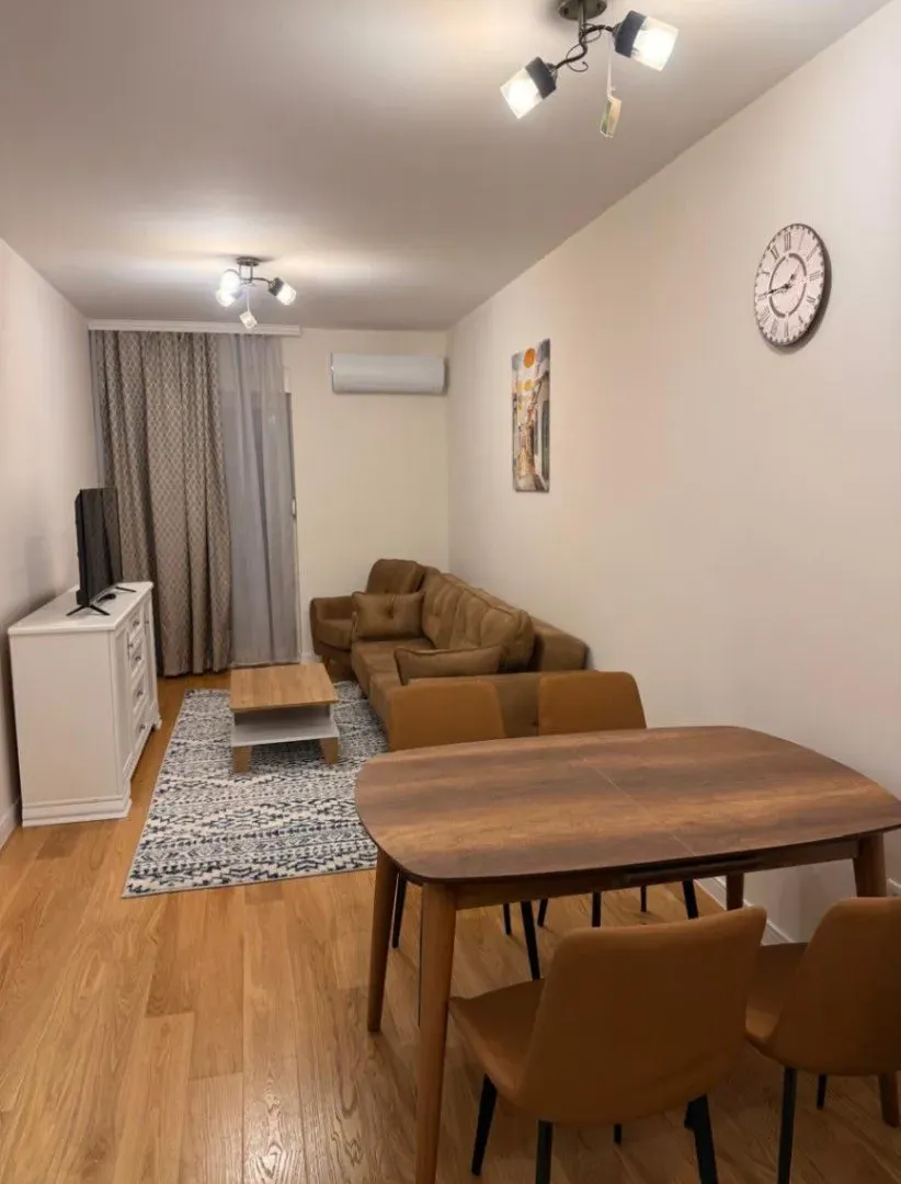 Izdavanje, jednosoban stan, 47m², Central Point, Podgorica