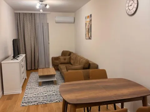 Izdavanje, jednosoban stan, 47m², Central Point, Podgorica - image 7