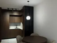 Izdavanje, jednosoban stan, 43m², Central Point, Podgorica - image 8