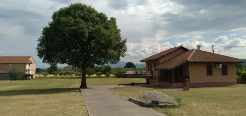 Jednospratna kuća sa prostranim dvorištem i asfaltiranom stazom. - image 4