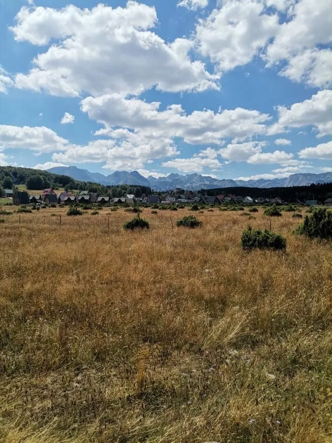 Pogled na prirodno okruženje i pejzaž sa planinama u pozadini.