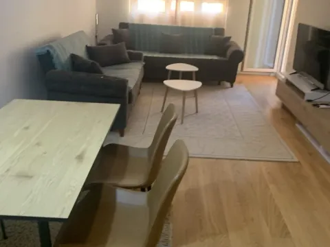 Izdavanje, jednosoban stan, 50m², Central Point, Podgorica - image 1