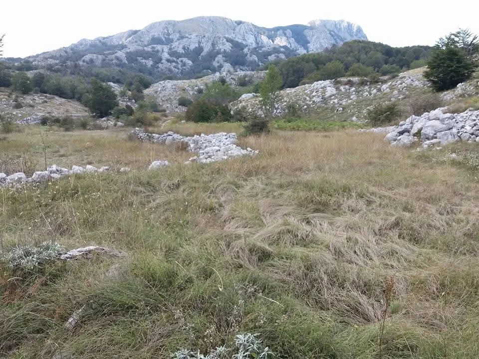 Prodaja, plac, 20000m², Cetinje, Crna Gora