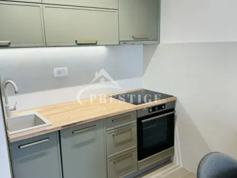 Izdavanje, jednosoban stan, 40m², Pobrežje, Podgorica - image 10