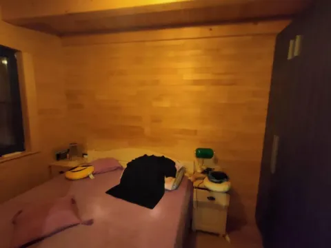 Prodaja, kuća, 151m², Sremska Kamenica, Petrovaradin - image 46