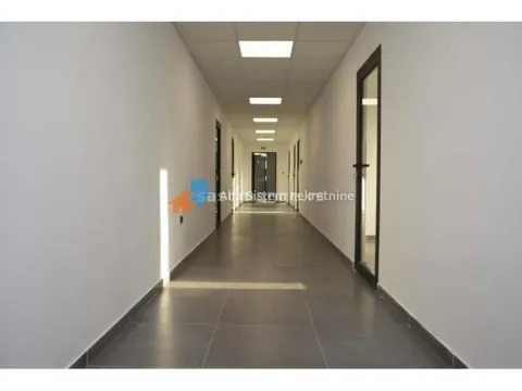 Izdavanje, poslovni prostor, 1200m², Karaburma, Palilula Sve Podlokacije - image 6