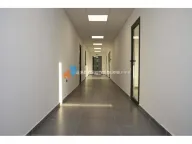 Izdavanje, poslovni prostor, 1200m², Karaburma, Palilula Sve Podlokacije - image 6