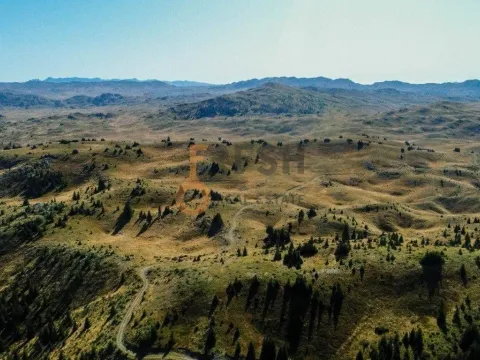 Prodaja, plac, 184880m², Žabljak, Crna Gora - image 13