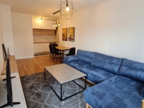 Izdavanje, jednosoban stan, 54m², Central Point, Podgorica - image 2