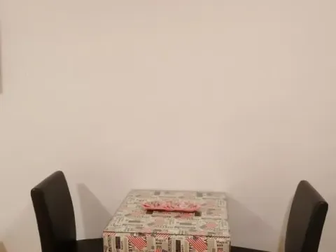 Izdavanje, garsonjera, 27m², Centar, Novi Sad - image 7