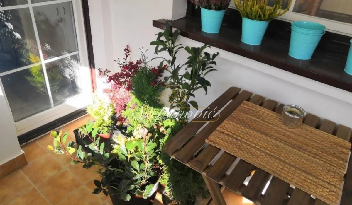Izdavanje, dvosoban stan, 64m², Centar, Novi Sad