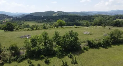 Prodaja, plac, 800m², Rosići, Kosjerić - image 2
