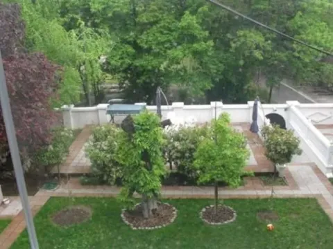 Izdavanje, poslovni prostor, 125m², Južni Bulevar, Vračar Sve Podlokacije - image 19