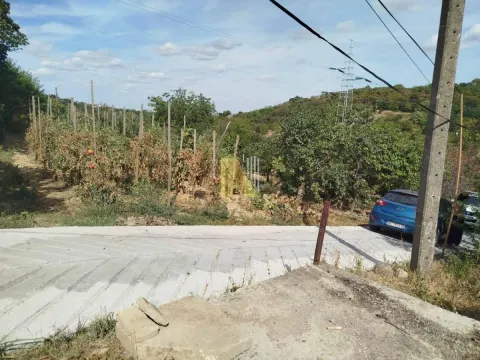 Pogled na dvorište i prilazni put sa zelenilom. - image 35