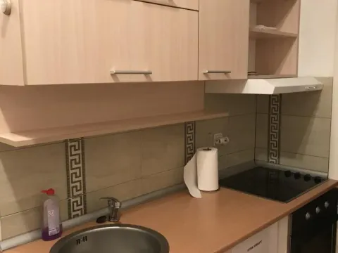 Izdavanje, jednosoban stan, 45m², Centar, Novi Sad - image 5