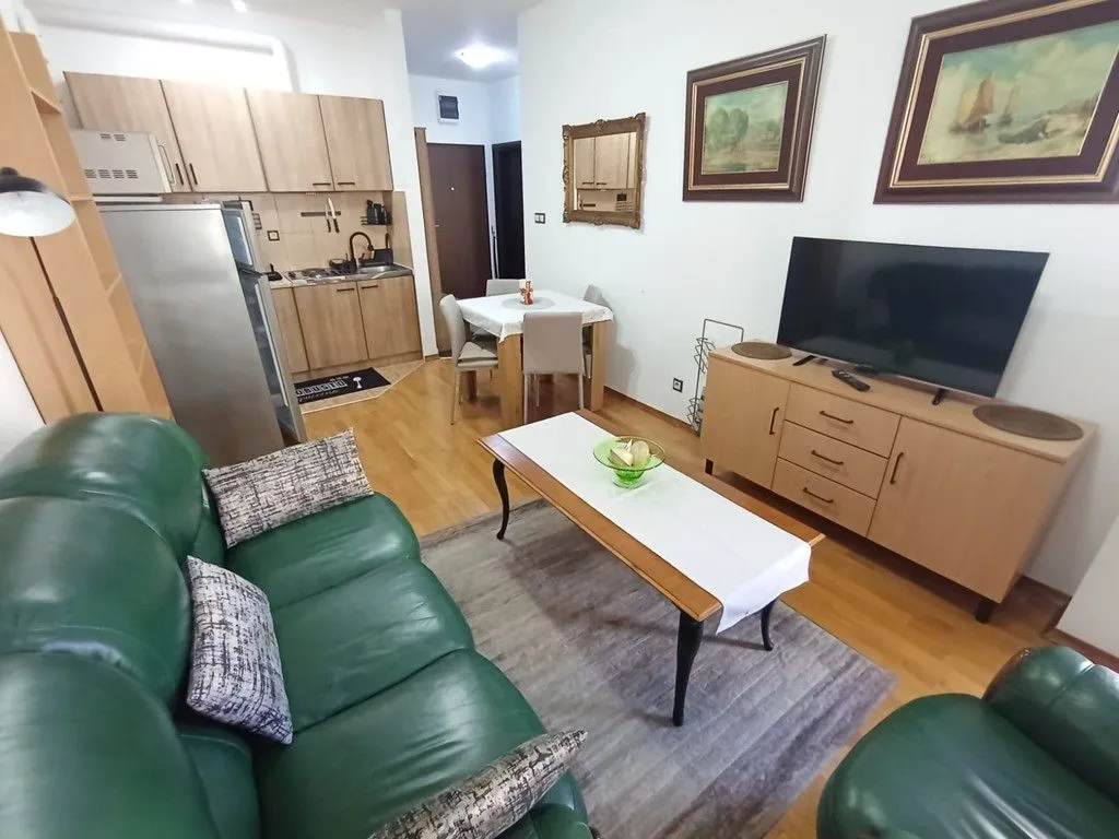 Izdavanje, jednosoban stan, 45m², Preko Morače, Podgorica