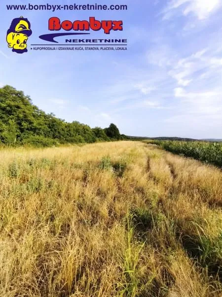 Prodaja, plac, 2700m², Beočin, Srbija