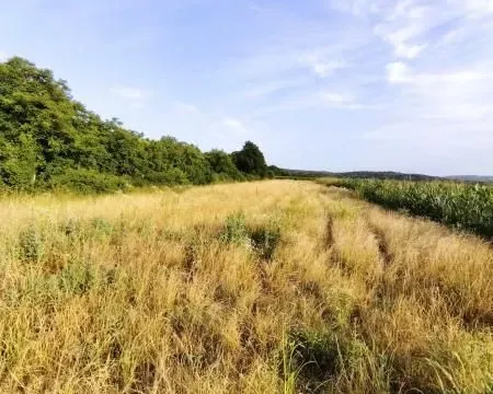 Prodaja, plac, 2700m², Beočin, Srbija - image 2