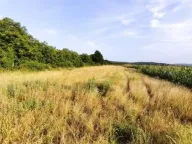 Prodaja, plac, 27m², Beočin, Srbija - image 2