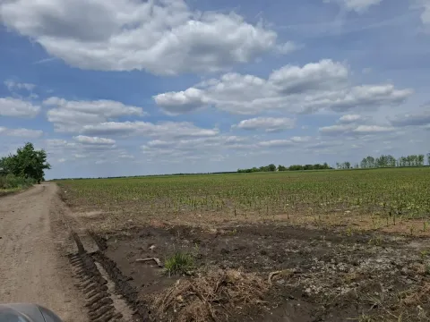 Sale, land lot, 268m², Čenej, Novi Sad Sve Podlokacije - image 7