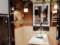 Izdavanje, dvosoban stan, 50m², Novi Beograd Blok 67, Novi Beograd Sve Podlokacije - image 9