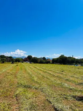 Pogled na prostrano ravno zemljište sa zelenom travom i drvećem u pozadini. - image 4