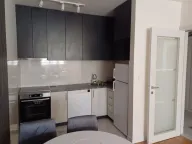 Izdavanje, jednosoban stan, 47m², Central Point, Podgorica - image 2