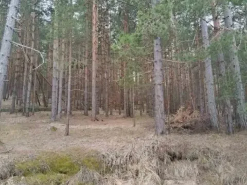 Sale, land lot, 1143m², Zlatibor, Srbija - image 7