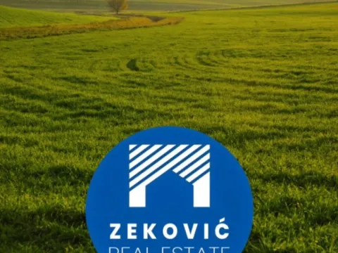 Sale, land lot, 11748m², Novo Selo, Danilovgrad