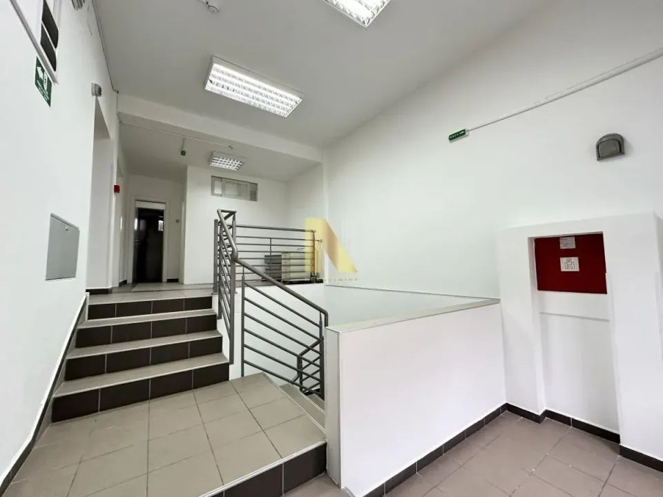 Izdavanje, poslovni prostor, 237m², Centar, Novi Sad