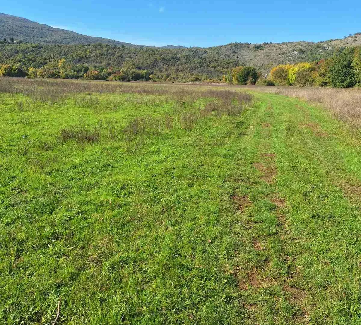 Prodaja, plac, 9000m², Podgorica, Crna Gora