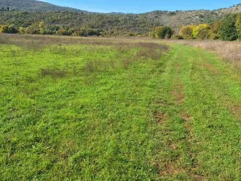 Prodaja, plac, 9000m², Podgorica, Crna Gora - image 2