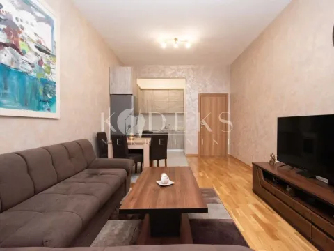 Izdavanje, jednosoban stan, 53m², Ljubović, Podgorica - image 2