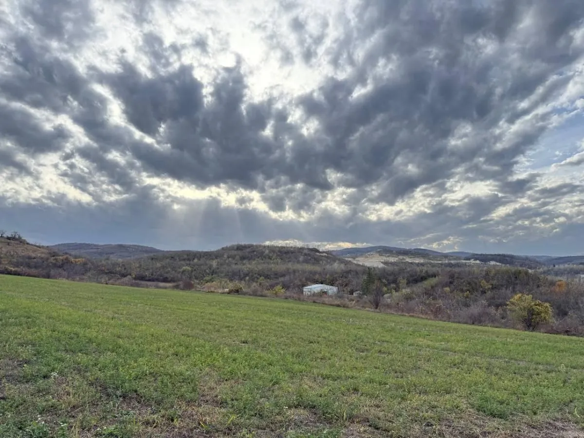 Prodaja, plac, 24207m², Beočić, Rekovac