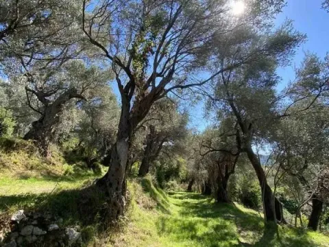 Prodaja, plac, 3770m², Zaljevo, Bar - image 7