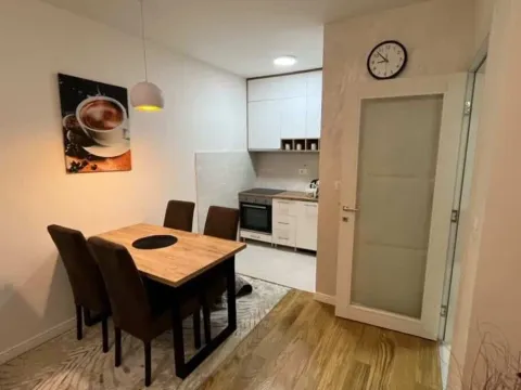 Izdavanje, jednosoban stan, 47m², Central Point, Podgorica - image 13