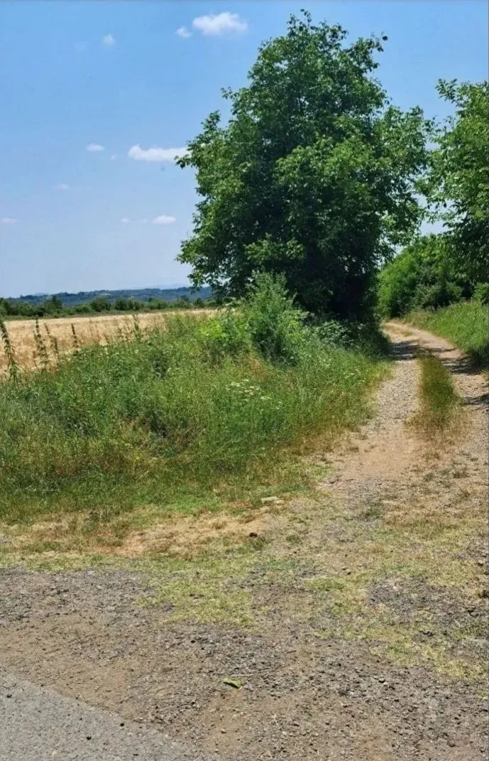 Prodaja, plac, 6000m², Veliki Borak, Barajevo