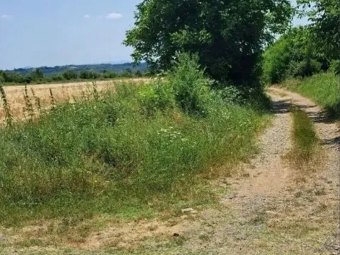 Sale, land lot, 6000m², Veliki Borak, Barajevo - image 3